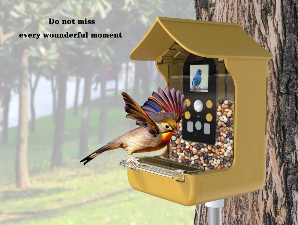 Smart Bird Feeder Camera BC01 with 1080P Video - Detail 4