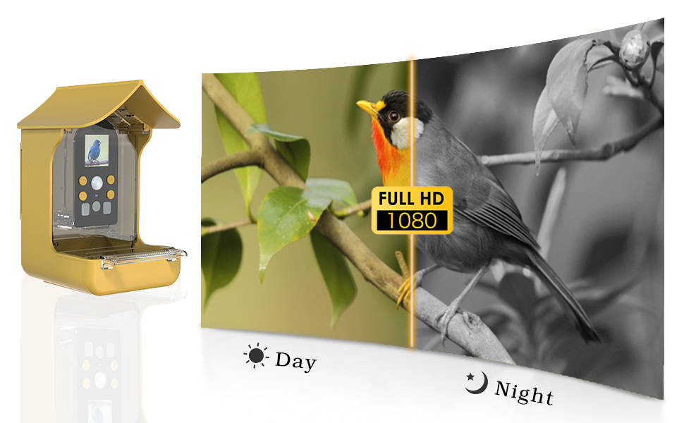 Smart Bird Feeder Camera BC01 with 1080P Video - Detail 7